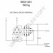 66021491 | ALTERNATOR | 66021490 [24V][55A] 66021491 66021490